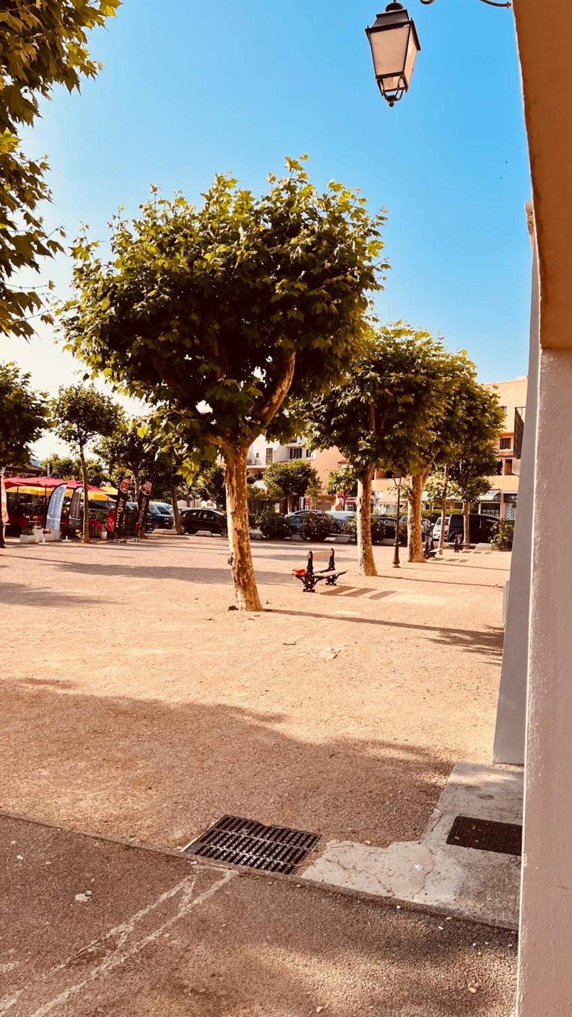 Plage / Beach / Marines De Gassin / Saint-Tropez Eksteriør bilde